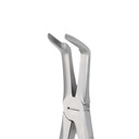 Upper Roots | Diamond Extraction Forcep