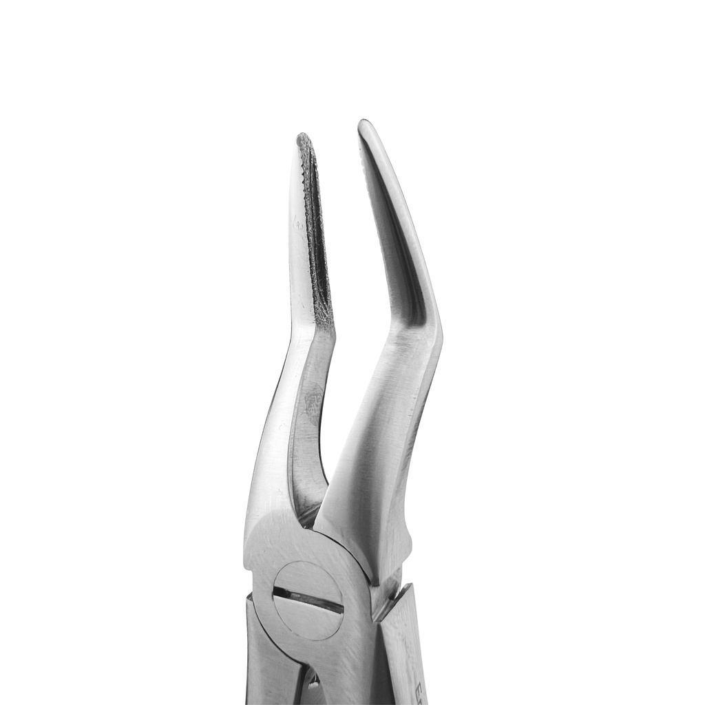 Upper Roots | Diamond Extraction Forcep