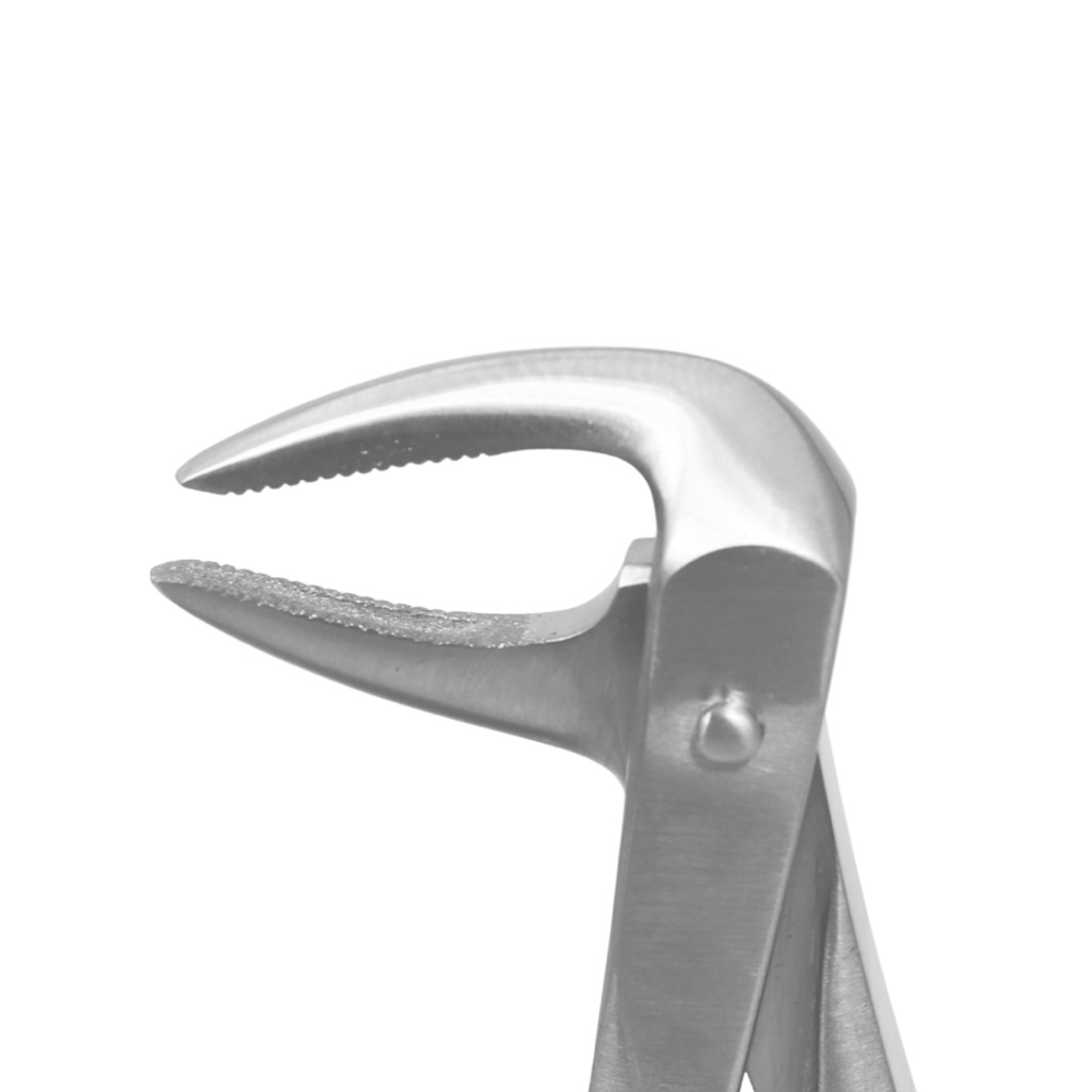 Lower Roots | Diamond Extraction Forcep