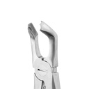 Lower Wisdom Teeth | Diamond Extraction Forcep