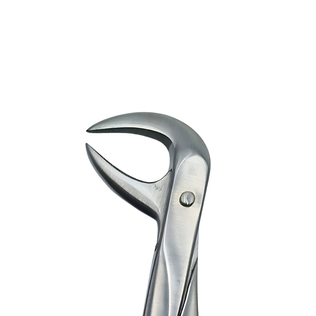 Lower Molars | Diamond Extraction Forcep