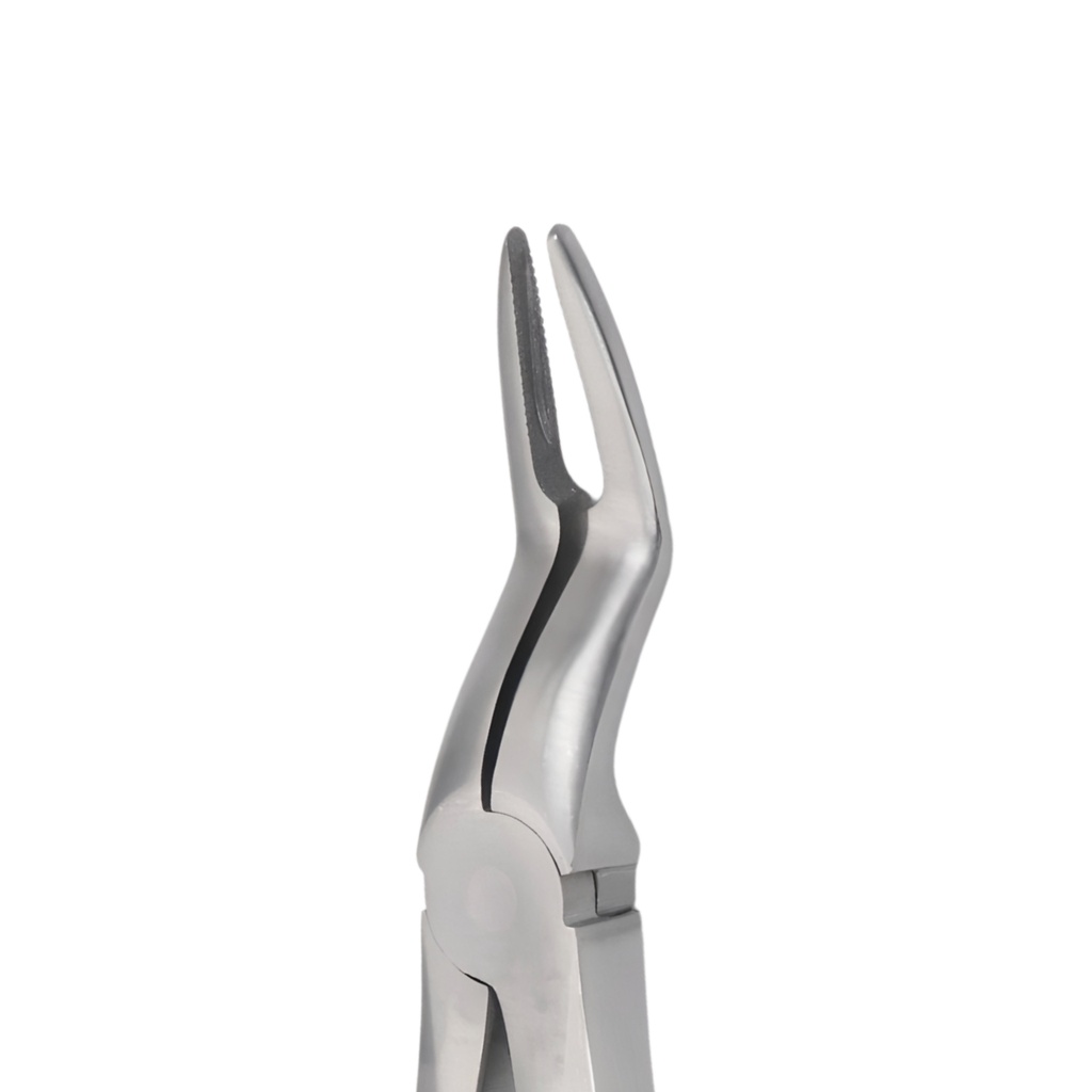Upper Roots | Diamond Extraction Forcep