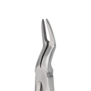 Upper Roots | Diamond Extraction Forcep