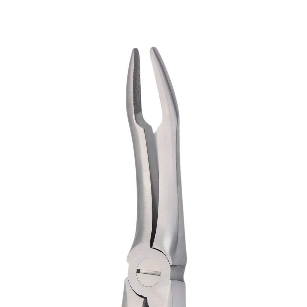 Upper Roots | Diamond Extraction Forcep