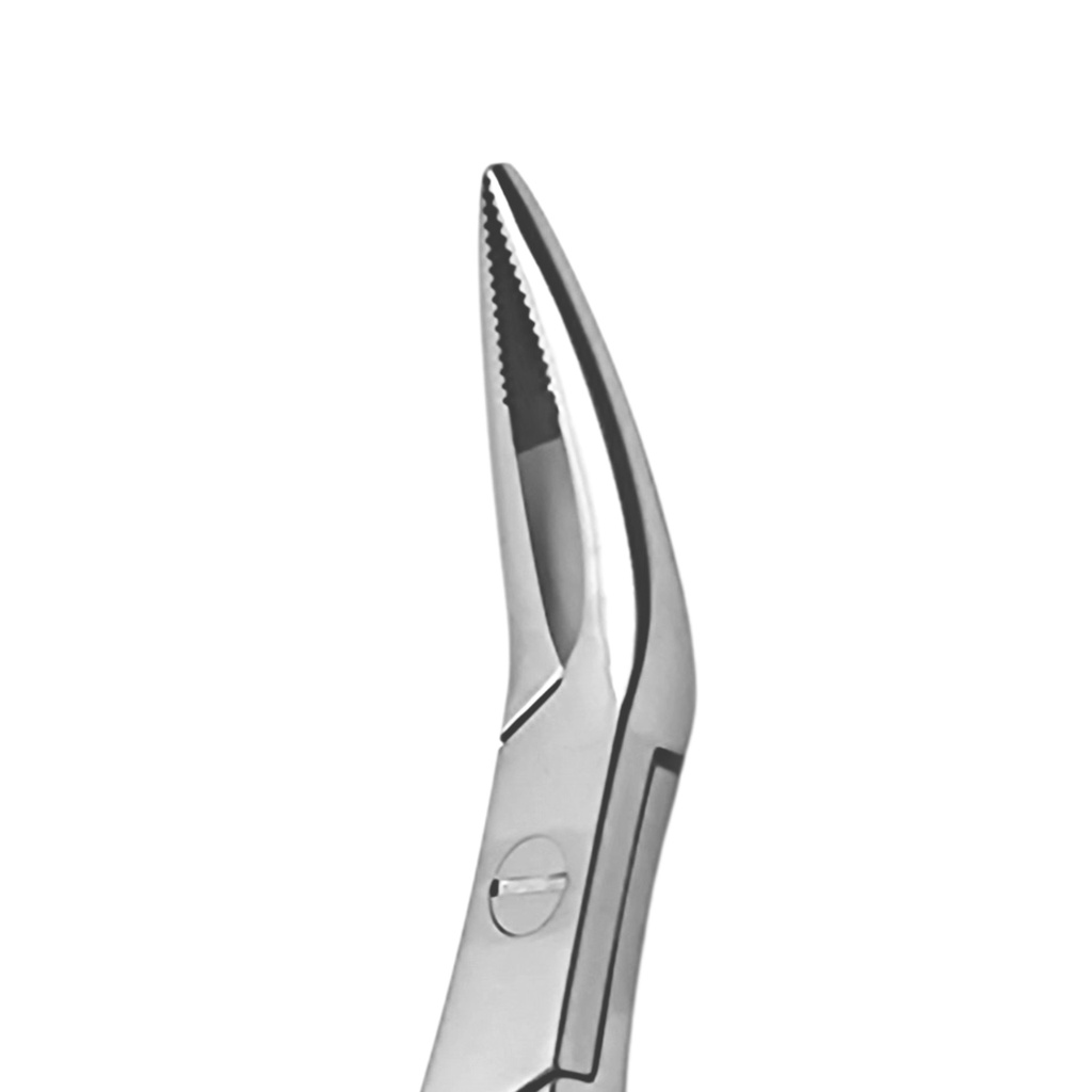 Witzel (Upper Roots) | Diamond Extraction Forcep