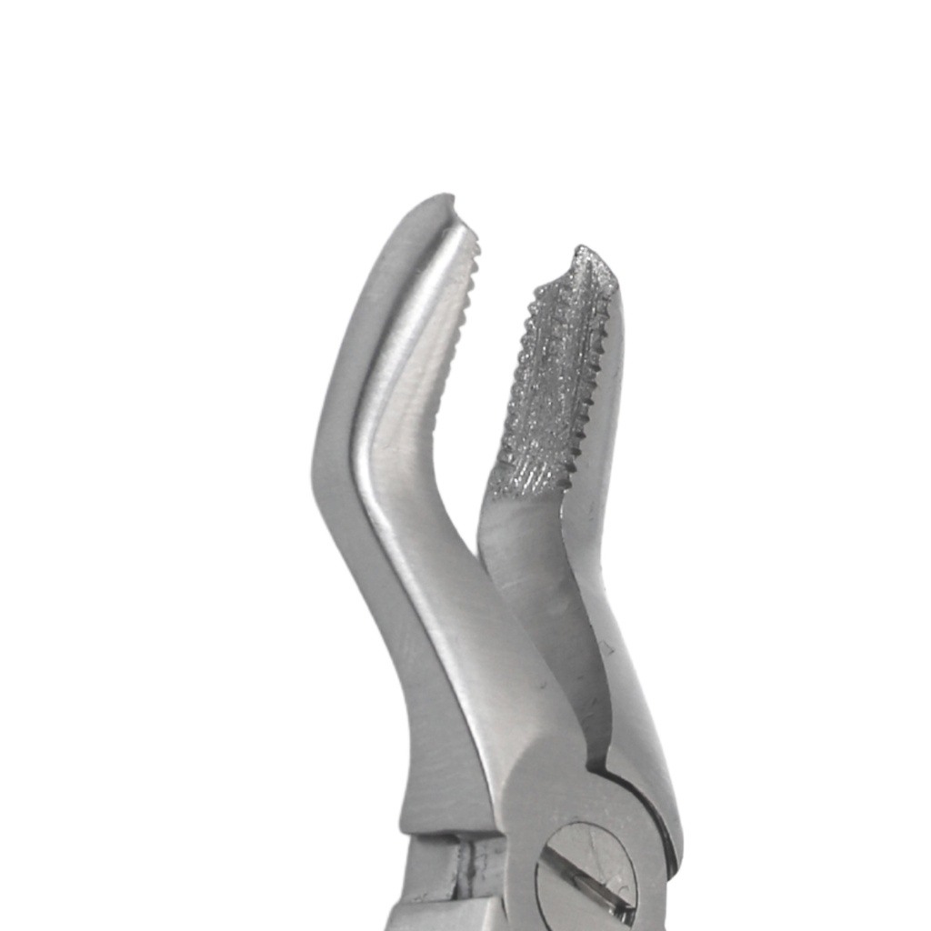 Fig. 3 Upper Molars | Diamond Child Extraction Forcep
