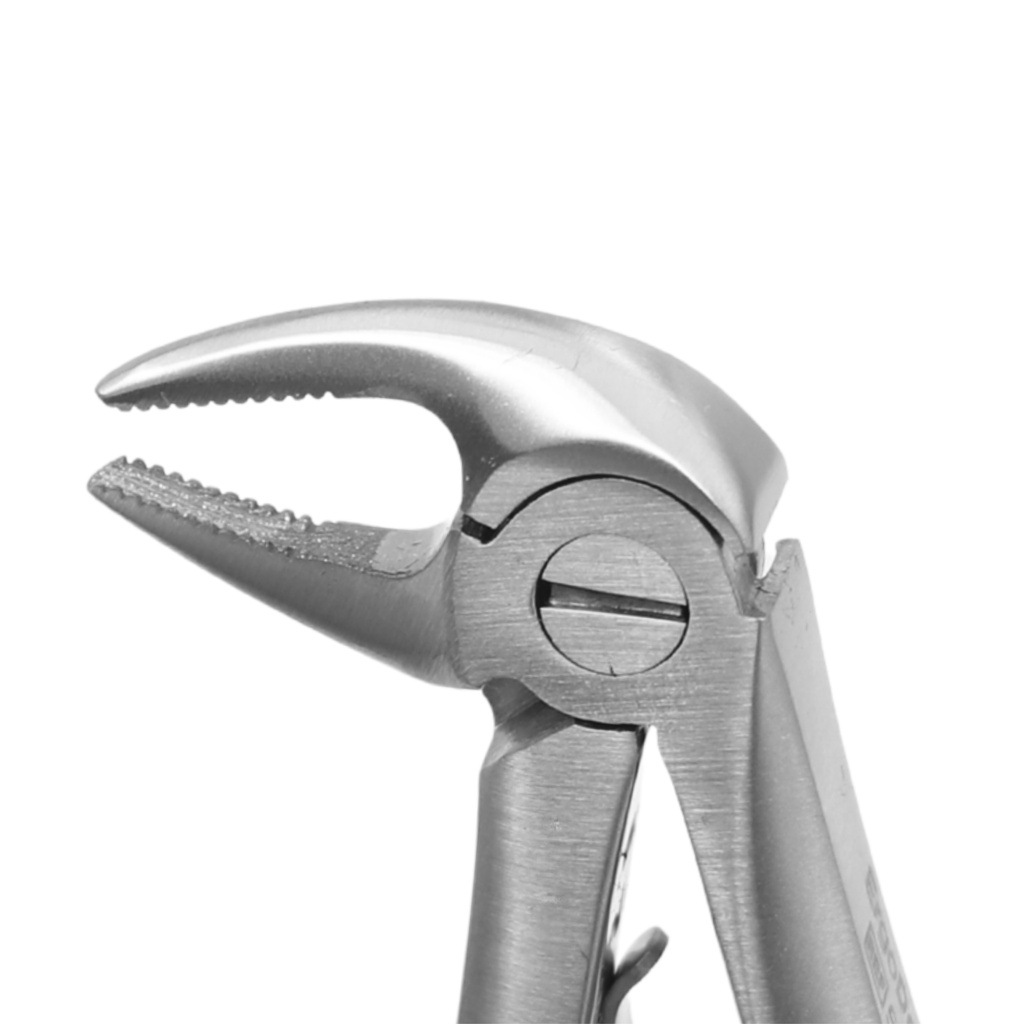 Fig. 5, Lower Incisors | Diamond Child Extraction Forcep