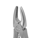 Fig. 137, Upper Incisors | Diamond Child Extraction Forcep