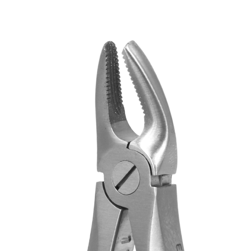 Fig. 139, Upper Premolars | Diamond Child Extraction Forcep