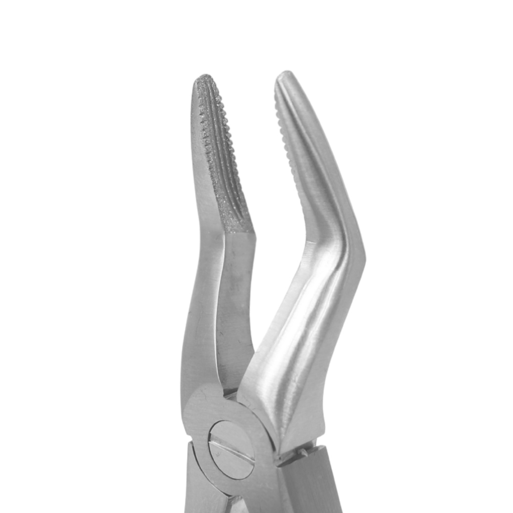 Fig. 51S, Upper Roots | Diamond Child Extraction Forcep