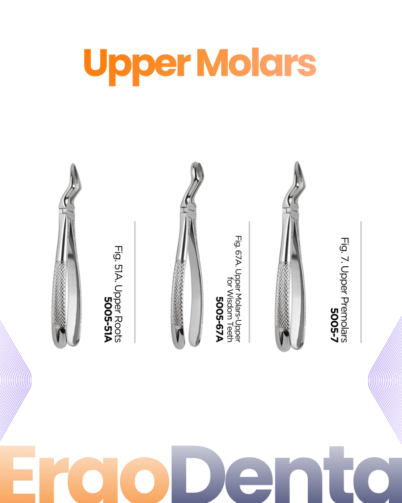 Upper Molars Forceps II