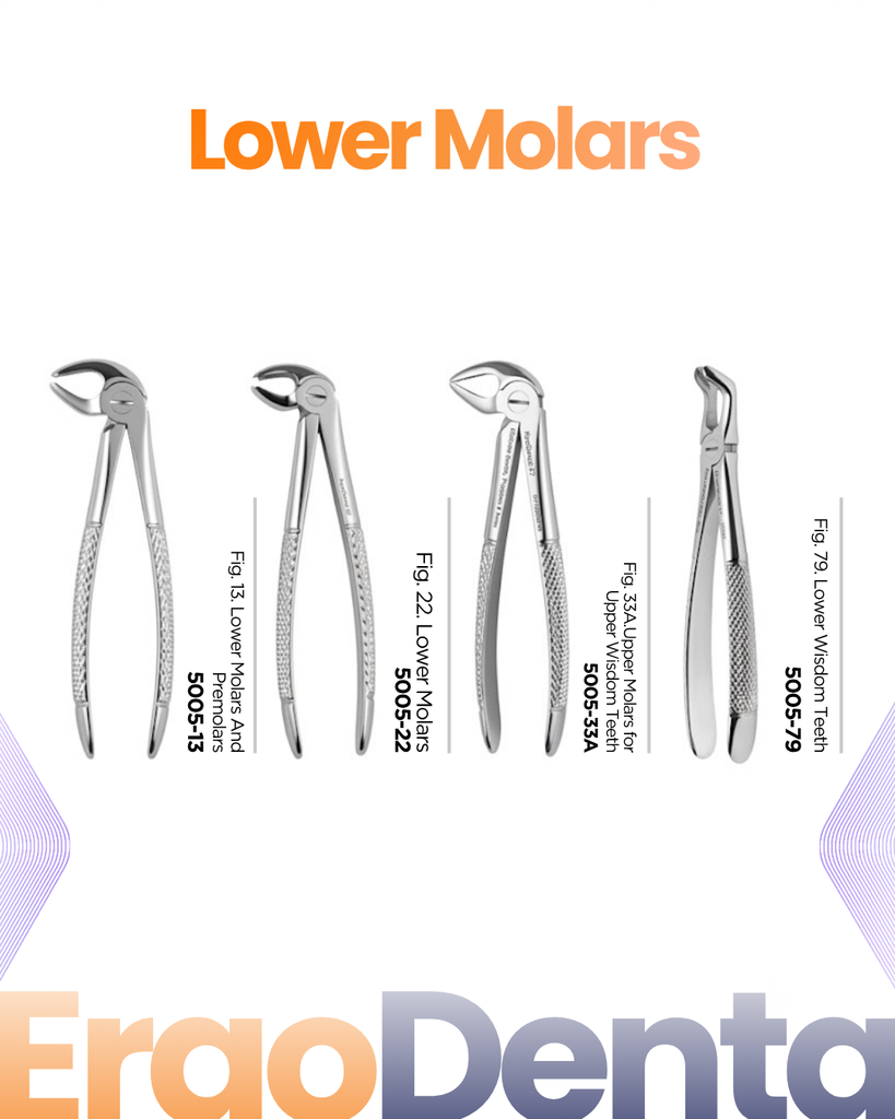 Lower Molars Forceps