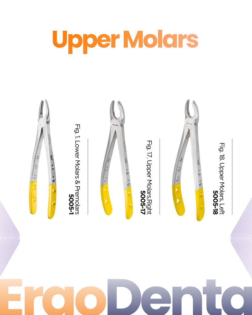 Upper Molars Forceps I