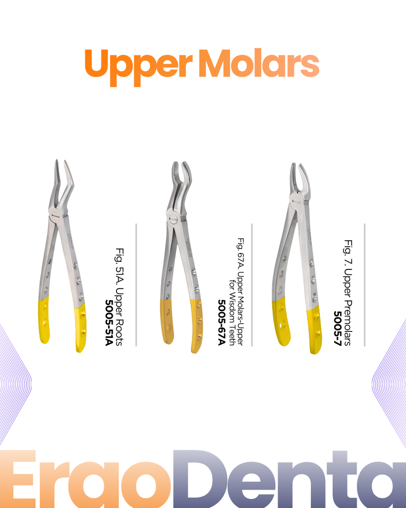 Upper Molars Forceps II
