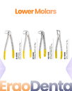 Lower Molars Forceps