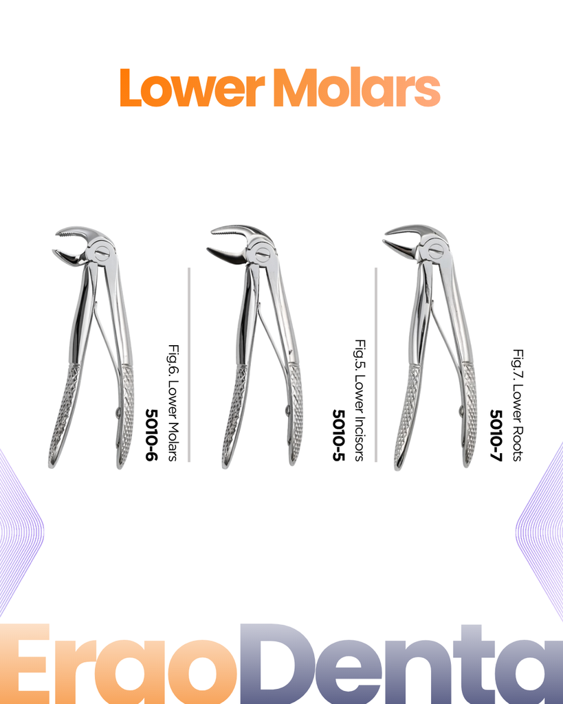 Lower Molars Forceps