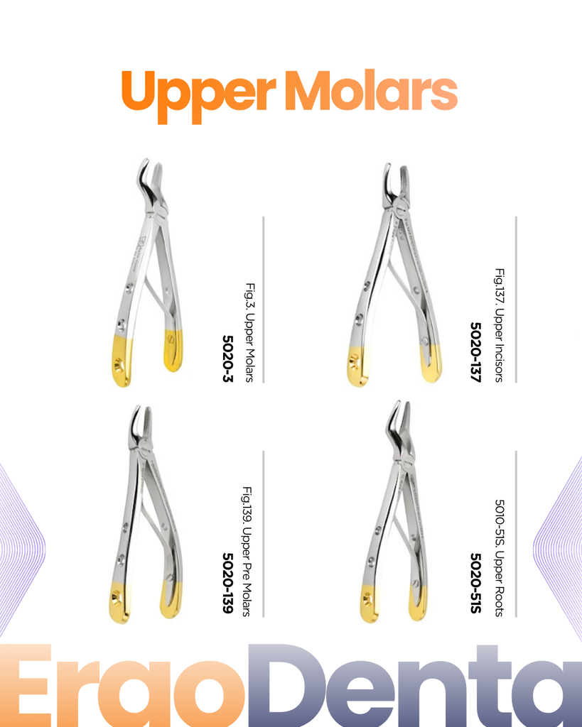 Upper Molars Forceps