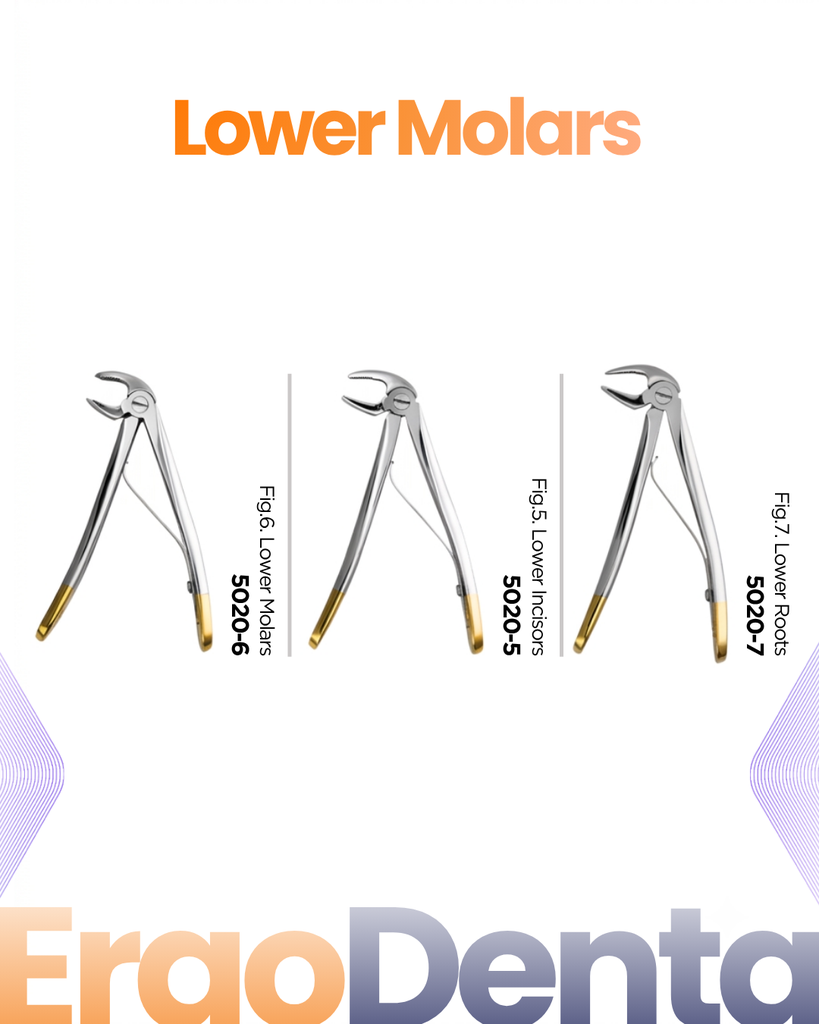 Lower Molars Forceps