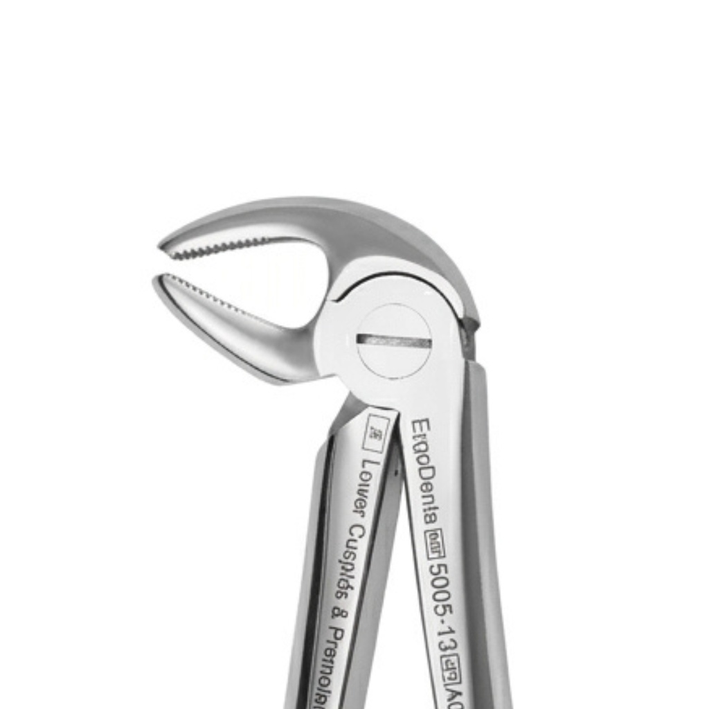 Lower Molars and Premolars | Standard Extraction Forcep | ErgoDenta