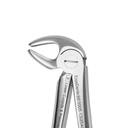 Lower Molars and Premolars | Standard Extraction Forcep | ErgoDenta