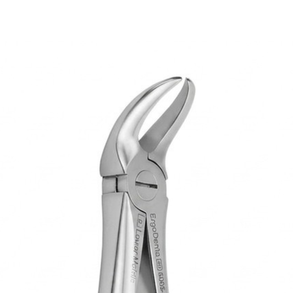 Lower Molars | Standard Extraction Forcep | ErgoDenta