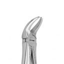 Lower Molars | Standard Extraction Forcep | ErgoDenta