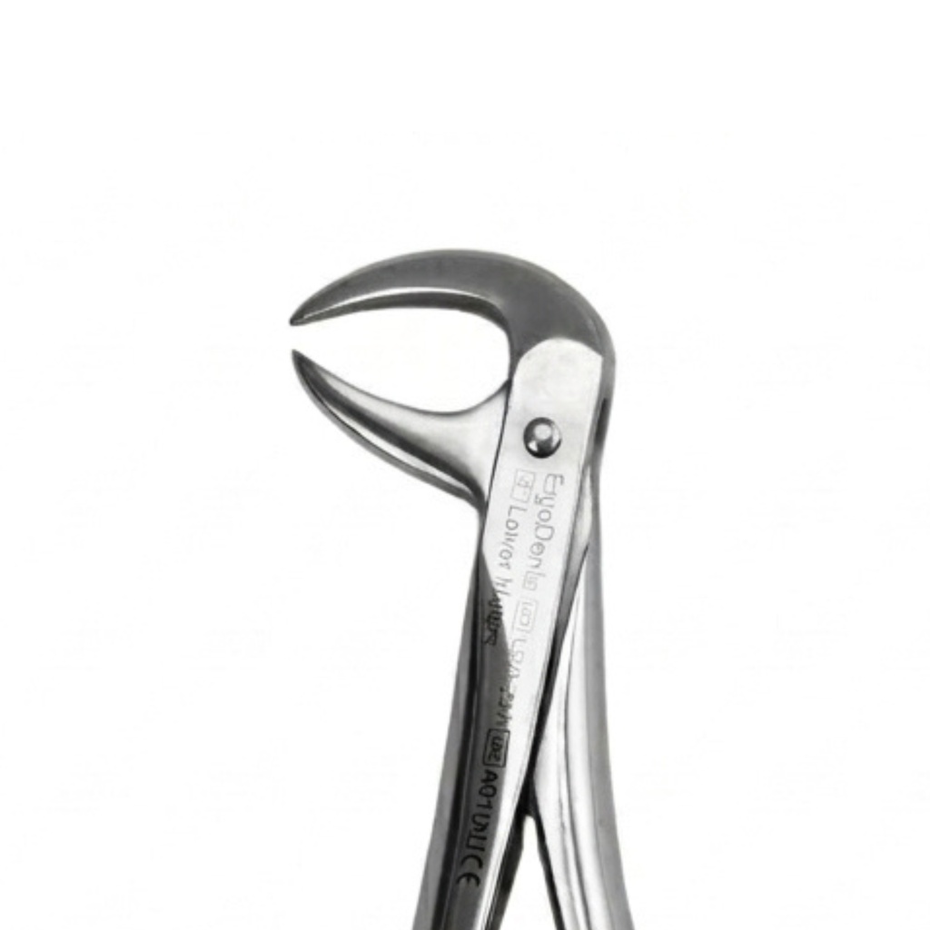 Lower Molars | Standard Extraction Forcep | ErgoDenta