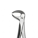Lower Molars | Standard Extraction Forcep | ErgoDenta