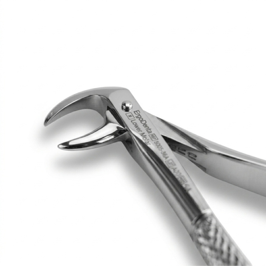 Lower Molars | Standard Extraction Forcep | ErgoDenta