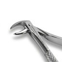 Lower Molars | Standard Extraction Forcep | ErgoDenta