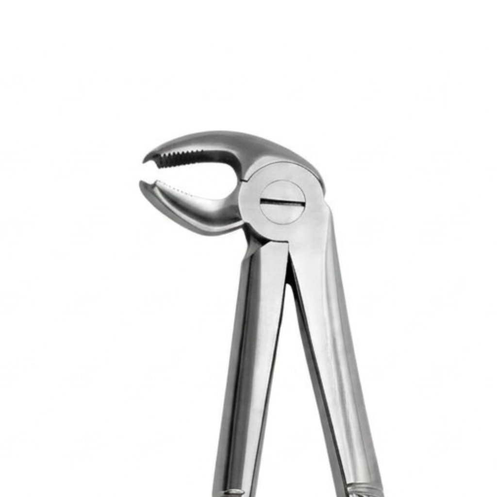 Lower Molars | Standard Extraction Forcep | ErgoDenta
