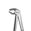 Lower Molars | Standard Extraction Forcep | ErgoDenta