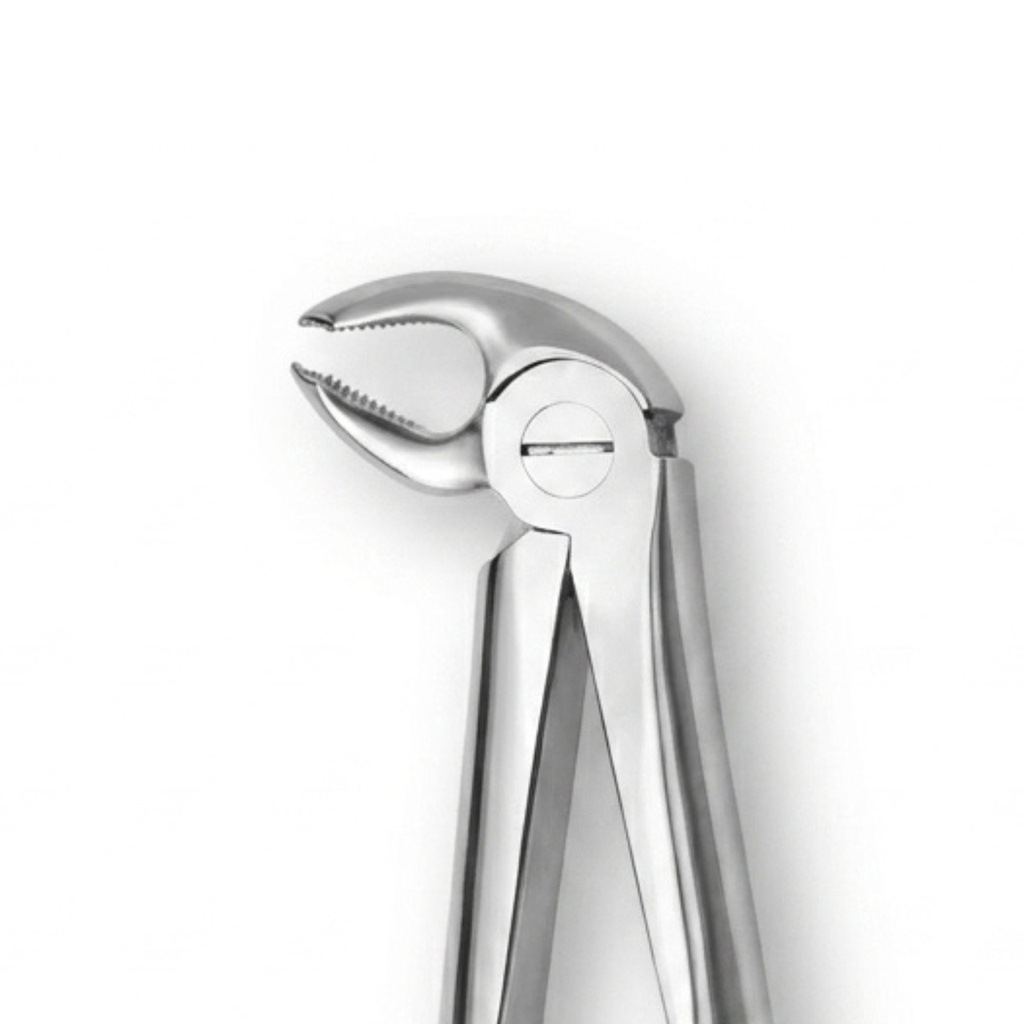 Lower Molars, Left | Standard Extraction Forcep | ErgoDenta