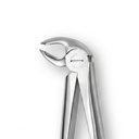 Lower Molars, Left | Standard Extraction Forcep | ErgoDenta
