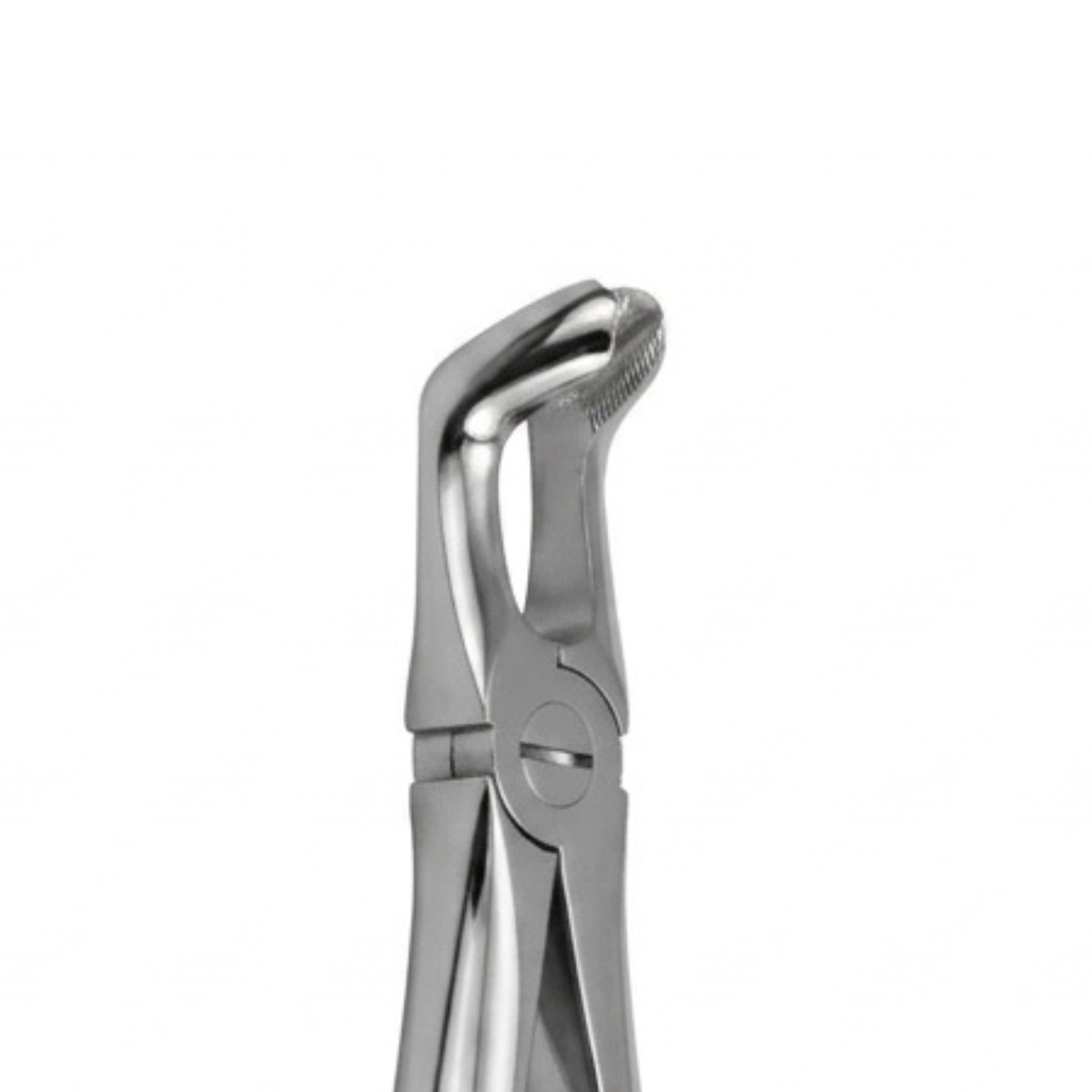 Lower Wisdom Teeth | Standard Extraction Forcep | ErgoDenta