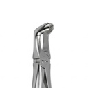 Lower Wisdom Teeth | Standard Extraction Forcep | ErgoDenta