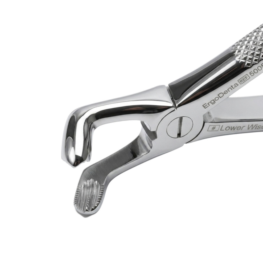 Lower Wisdom Teeth | Standard Extraction Forcep | ErgoDenta