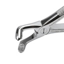 Lower Wisdom Teeth | Standard Extraction Forcep | ErgoDenta