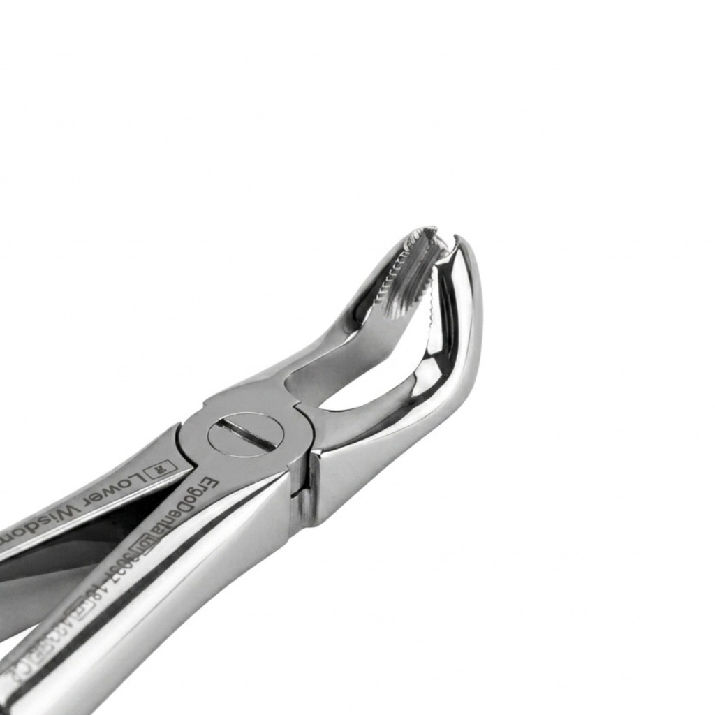 Lower Wisdom Teeth | Standard Extraction Forcep | ErgoDenta