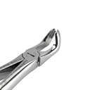 Lower Wisdom Teeth | Standard Extraction Forcep | ErgoDenta