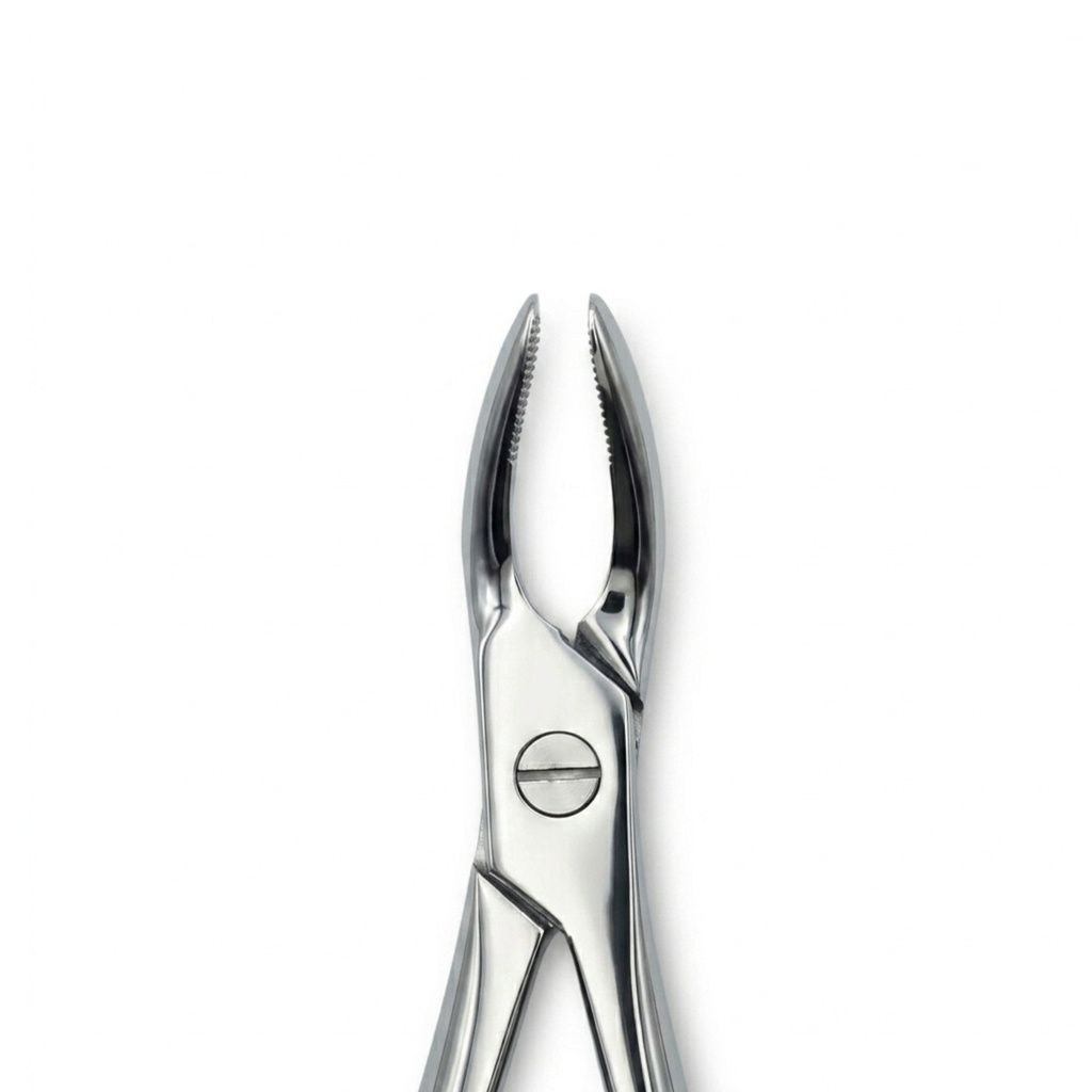 Universal Upper Roots Extracting Forceps | Standard Extraction Forcep | ErgoDenta