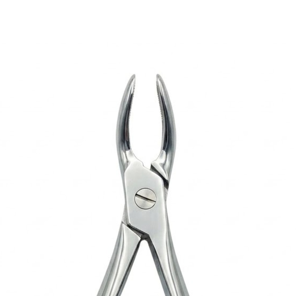 Universal-Lower Roots | Standard Extraction Forcep | ErgoDenta