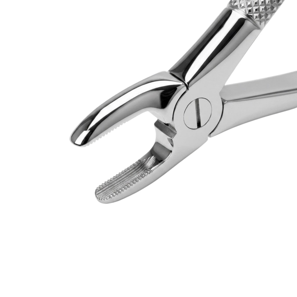 Upper Incisors and Molars | Standard Extraction Forcep | ErgoDenta