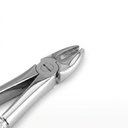 Upper Incisors and Molars | Standard Extraction Forcep | ErgoDenta