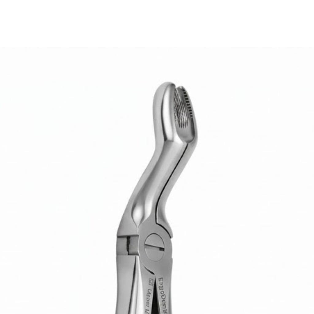 Upper Molars for Upper Wisdom Teeth | Standard Extraction Forcep | ErgoDenta