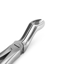 Upper Molars for Upper Wisdom Teeth | Standard Extraction Forcep | ErgoDenta