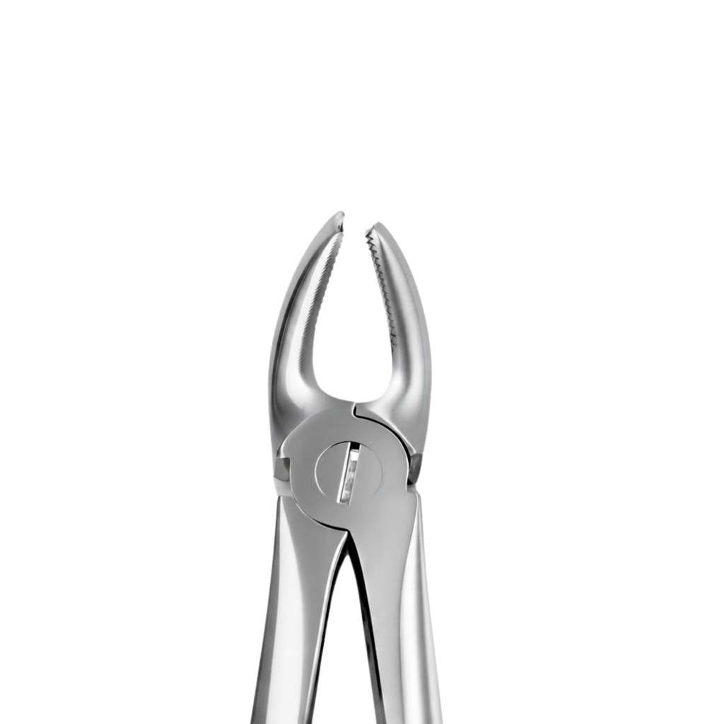 Upper Molars, Left | Standard Extraction Forcep | ErgoDenta