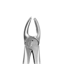Upper Molars, Right | Standard Extraction Forcep | ErgoDenta