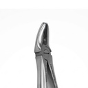 Upper Premolars | Standard Extraction Forcep | ErgoDenta