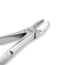 Upper Premolars | Standard Extraction Forcep | ErgoDenta